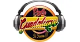 Logo da Radio Guadalupe