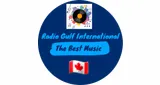 Logo da Radio Gulf International