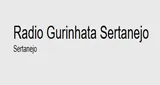 Logo da Radio Gurinhata Sertanejo