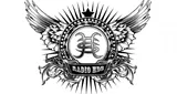 Radio HDS
