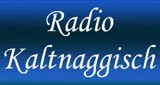 Logo da Radio Kaltnaggisch