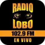 Logo da Radio KIWI 102.9 FM