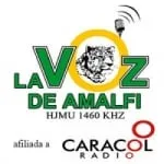 Logo da Radio La Voz de Amalfi 1460 AM