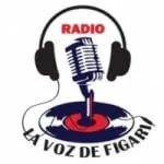 Logo da Radio La Voz de Figari