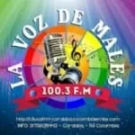 Logo da Radio La Voz de Males 100.3 FM