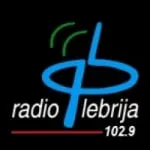 Logo da Radio Lebrija 102.9 FM
