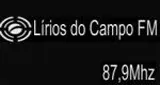 Logo da Radio Lírios do Campo FM