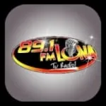 Logo da Radio Luna 89.1 FM