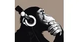 Radio Macacos