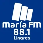 Logo da Radio Maria 88.1 FM