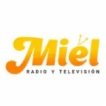 Logo da Radio Miel 92.9 FM