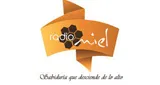 Logo da Radio Miel