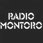 Logo da Radio Montoro 107.3 FM