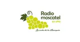 Logo da Radio Moscatel 107.1 FM Axarquía - España