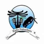 Logo da Radio Nahuelbuta 105.9 FM