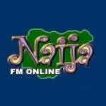 Logo da Radio Naija 101.1 FM