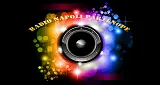 Logo da Radio Napoli Partenope