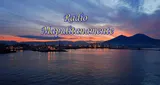 Logo da Radio Napulitanamente