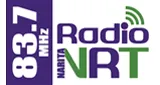 Logo da Radio NARITA