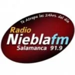 Radio Niebla 91.9 FM