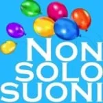 Logo da Radio Non Solo Suoni