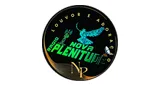 Logo da Radio Nova Plenitude gospel