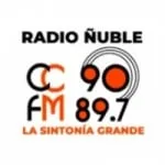 Logo da Radio Ñuble 89.7 FM