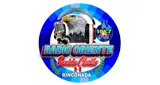 Logo da Radio Oriente - Sonido Clarito