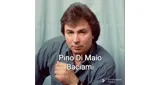 Logo da RADIO P.D.M.