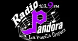 Logo da Radio Pandora 103.9 FM
