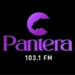 Logo da Radio Pantera 103.1 FM