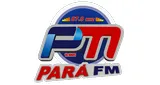 Logo da Radio Pará Fm 87.9