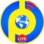 Logo da Radio Paris 100.5 FM