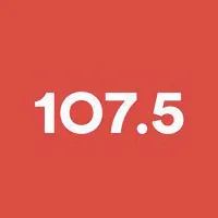 Logo da Radio pau-brasil FM