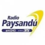 Logo da Radio Paysandú 1240 AM