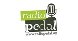Logo da Radio Pedal