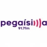Logo da Radio Pegaisima 91.7 FM