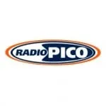 Logo da Radio Pico 101.5 FM