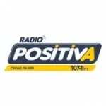 Logo da Radio Positiva 107.1 FM