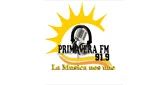 Logo da Radio Primavera fm 91.9