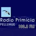Logo da Radio Primicia 100.3 FM