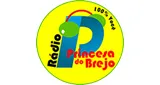 Radio Princesa do Brejo FM