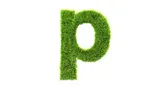 Logo da Radio Provinzgelebe