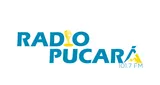 Logo da Radio Pucará 101.7 FM