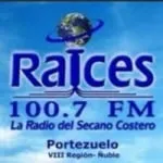 Logo da Radio Raíces 100.7 FM