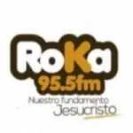 Logo da Radio Roka 95.5 FM