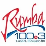 Logo da Radio Rumba 100.3 FM