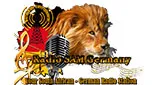 Logo da Radio SAM Germany