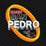 Logo da Radio San Pedro 98.1 FM