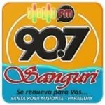 Logo da Radio Sanguri 90.7 FM
